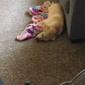 Meet your Posher, Danielle